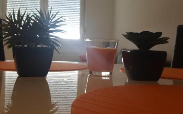Arena1 Apartment