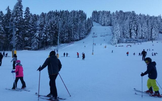 Studio Borovets in Hotel Flora