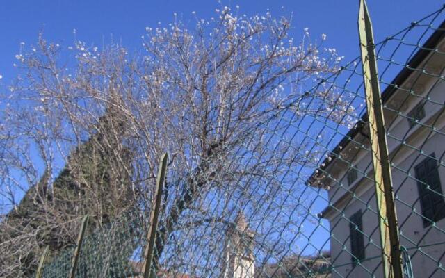 B&B la Tana della Felicità