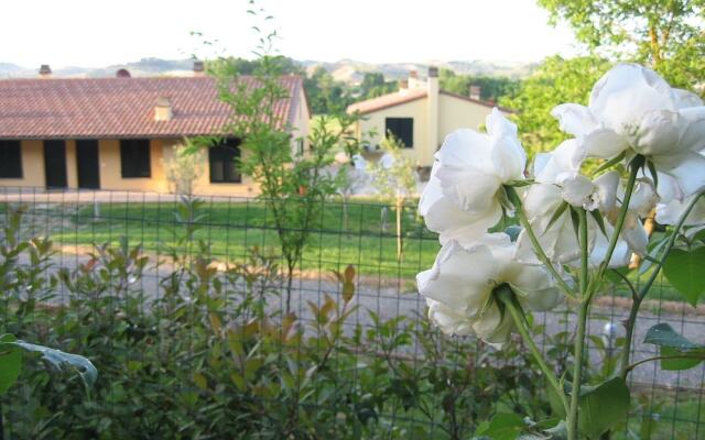 Podere Casalsole