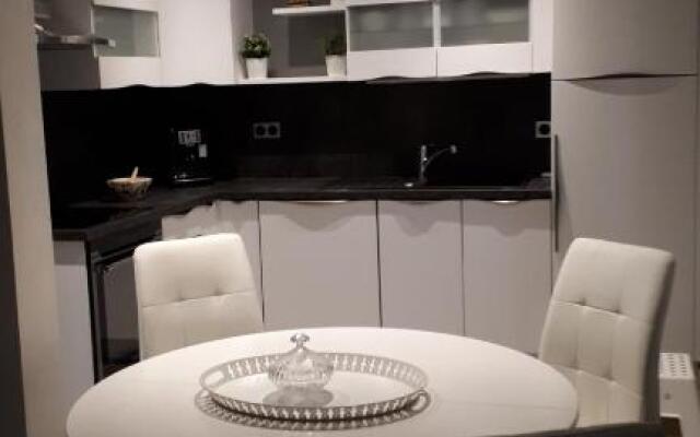 25 Rue Raymond Braillard