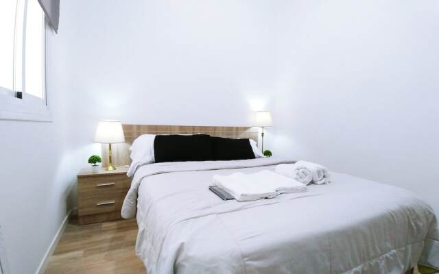 Luxury Flat Lavapies