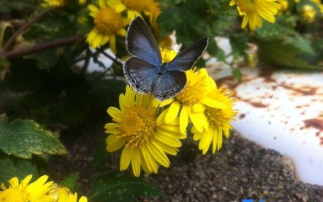 September Huizhou Inn