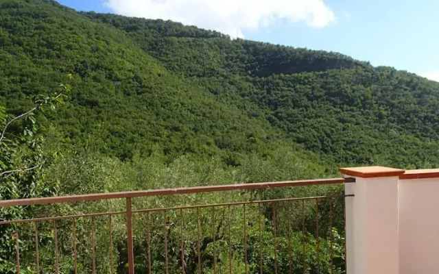 B&B Villa Mare e Ulivi