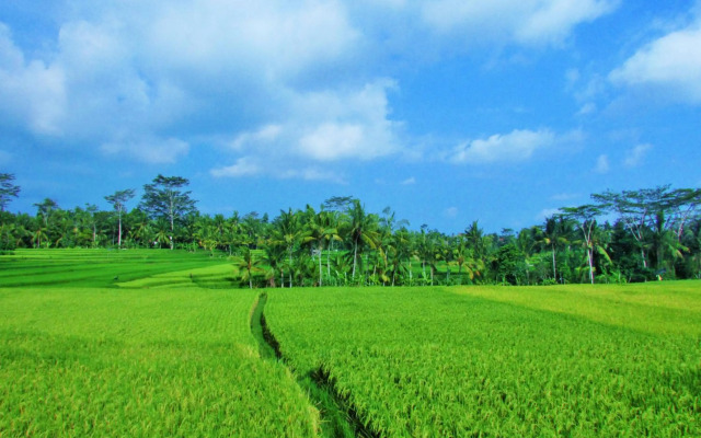Temuku Ubud Villas