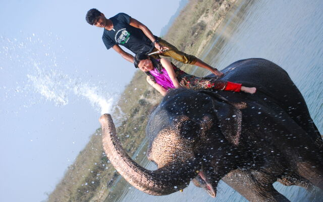 Sauraha Resort