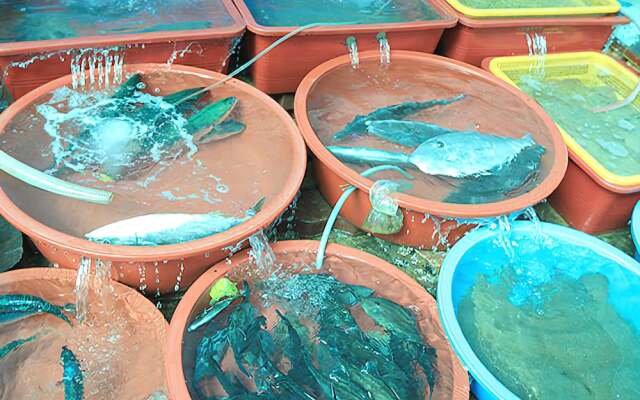 Donghae Marine Park Pension