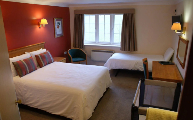 New Forest Lodge