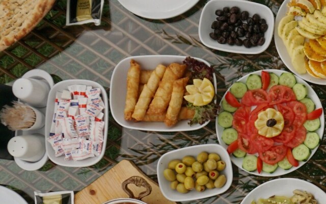 Göbeklitepe Bahce Saray