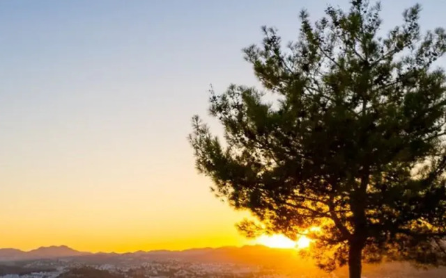 Bodrum Panorama Homes