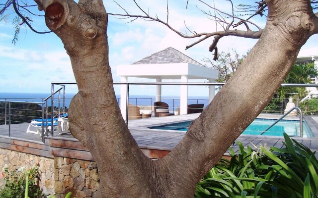 Au Coeur Caraibe Saint Barth - Adults Only