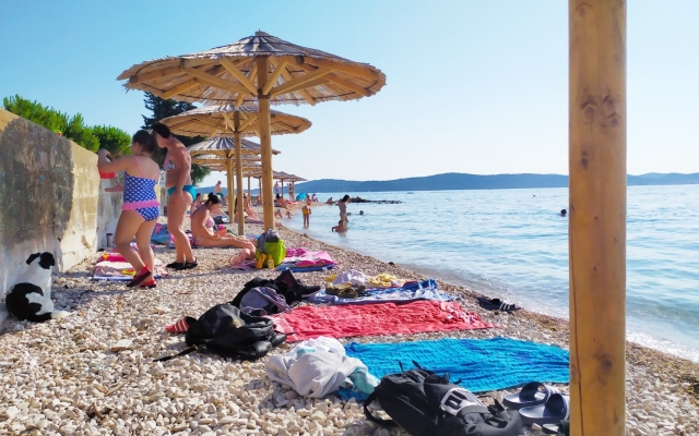 Room Aleksandra - 10 m from sea: R7 Bibinje, Zadar riviera