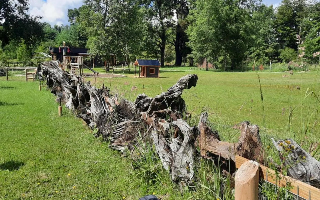 Terra Newen Pucon Family Suites