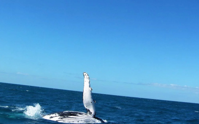 St Bees Island Resort