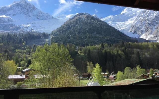 Appartement face au Mont Blanc & Glaciers
