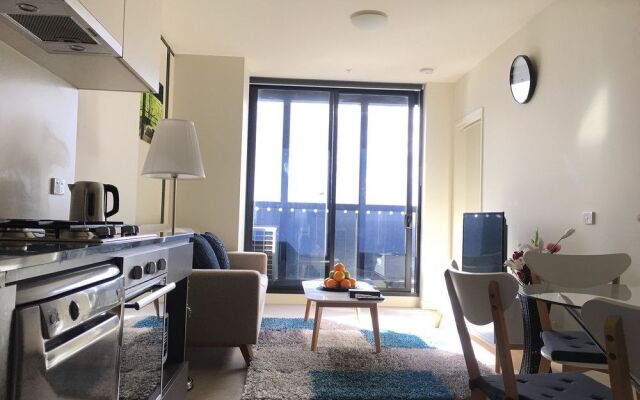 Urban Modern Apartments