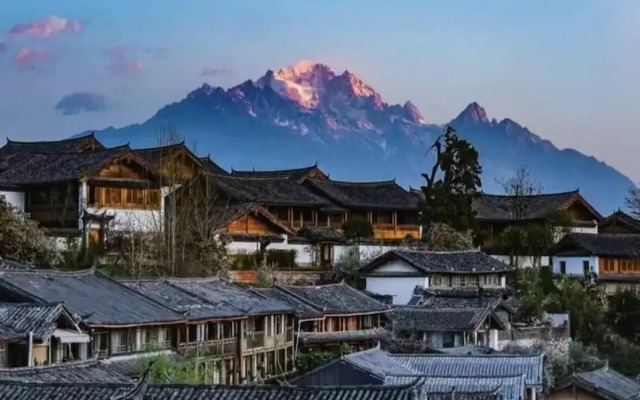 qingxuege