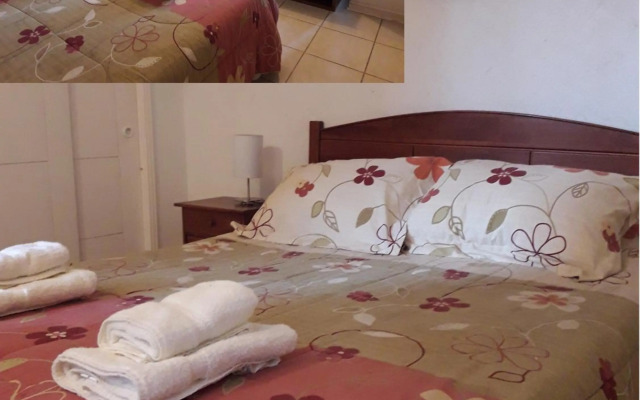 Pinares del Canelillo