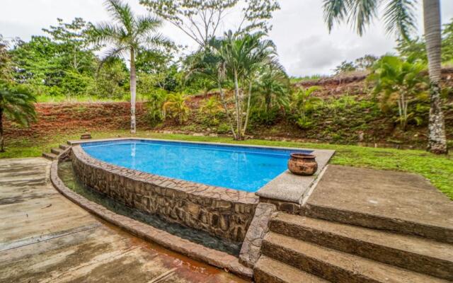 Esterillos Estates Coconut 38