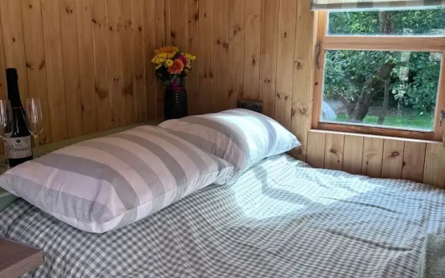 Shepherds Hut With Hot Tub