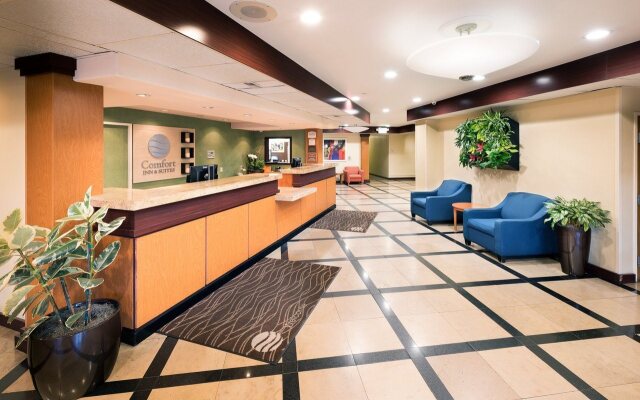 Comfort Inn & Suites Oakland