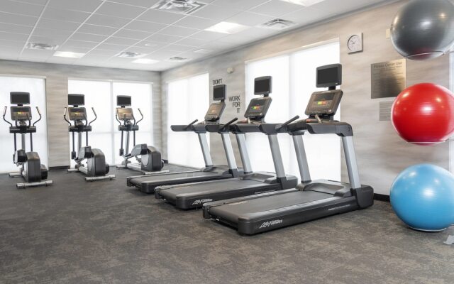 Fairfield Inn & Suites by Marriott Fair Oaks Farms