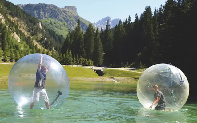 Résidence La Forêt Du Praz