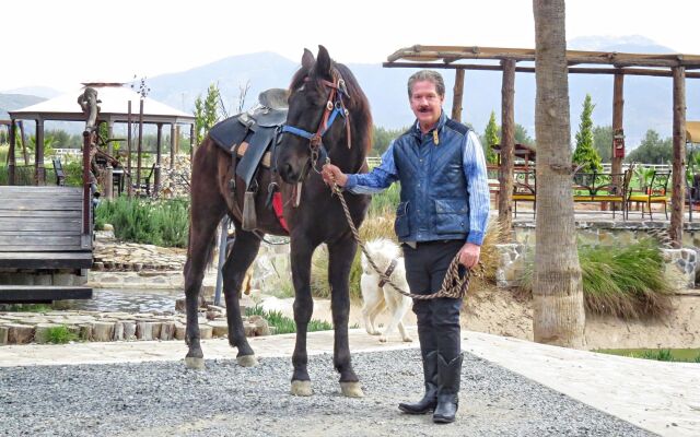 Hotel Boutique Valle de Guadalupe & Spa