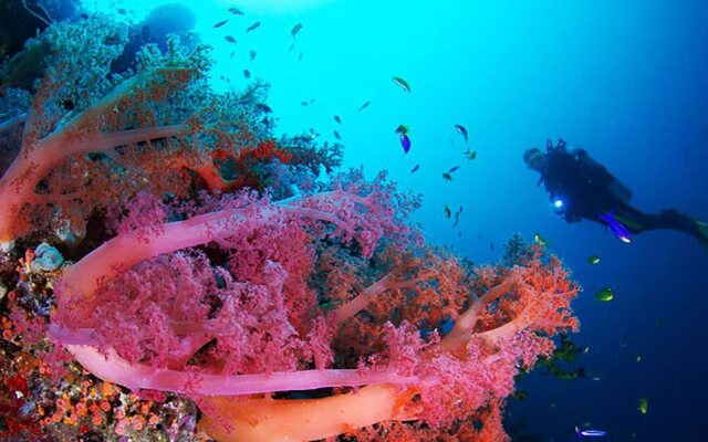 Blue Abyss Resort