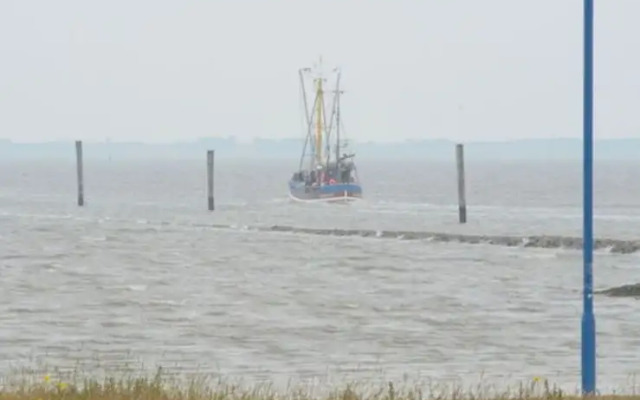 Elsewhere Comfortable Holiday Residence