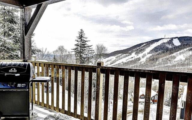 Chalets Alpins - 17 Chemin Blanc