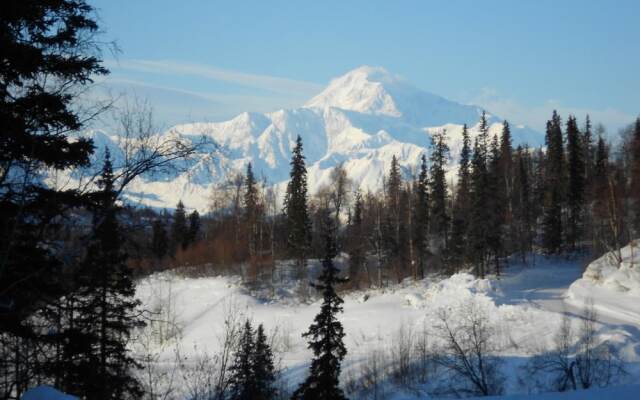 Denali Primrose B&B