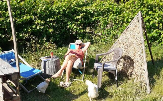 Les Campanules - Neuvy en Sullias