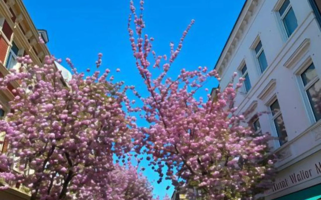 Hotel Aigner