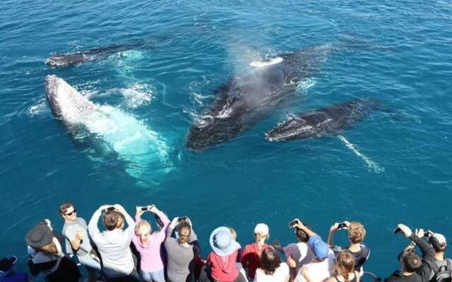 Moragalla Beach Home Guesthouse (Newly opened hotel)