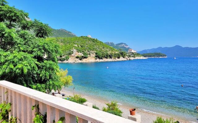 Apartment Jelka Cala Blava 40694
