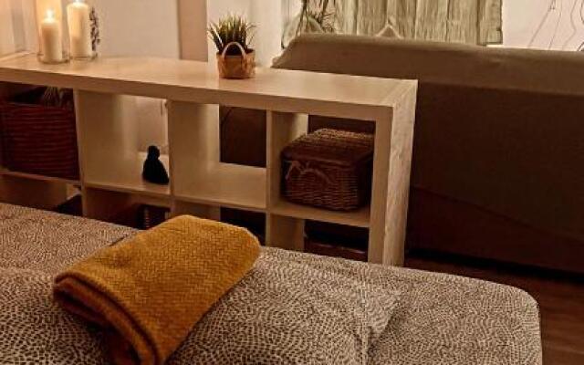 Grand T1 de 38 m2 au design épurée