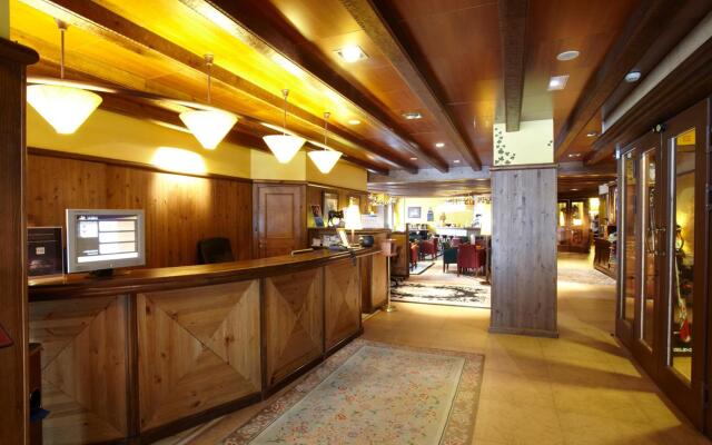Ski Plaza Hotel & Wellness