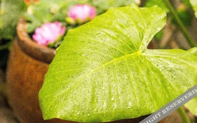 泉州中山咖啡客栈