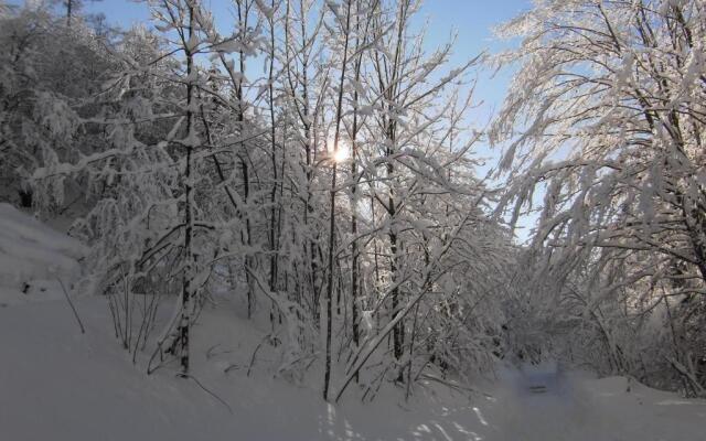 Pension Salzburger Hof
