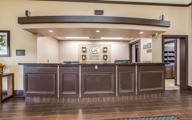 Comfort Suites Chicago O'Hare Airport