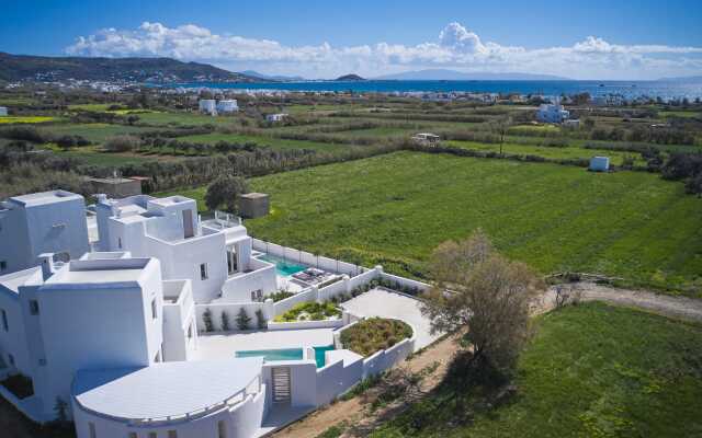 Maestro Villas Naxos