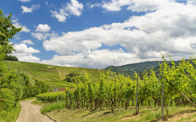 Stilvolle FeWo *Rebland* Balkon-Netflix-Parking