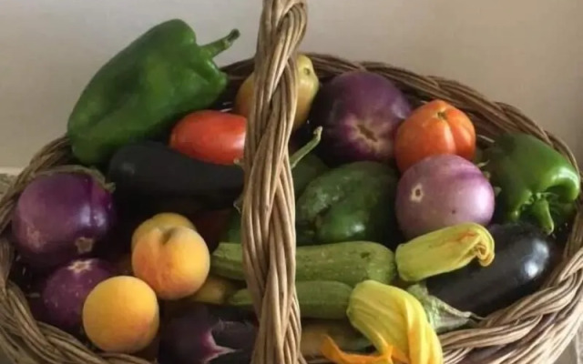 Collimare Rooms and Sailing near 5 Terre