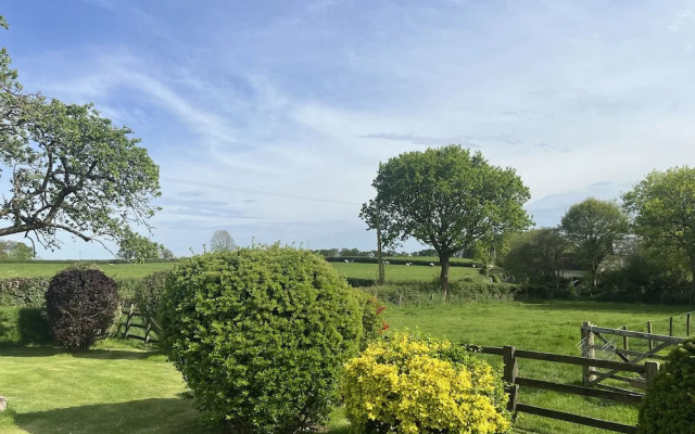 War Horse Valley Orchard View