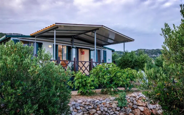 Camp Kopito
