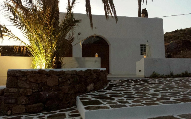 Radyshams Dammusi Le Palme & Bait