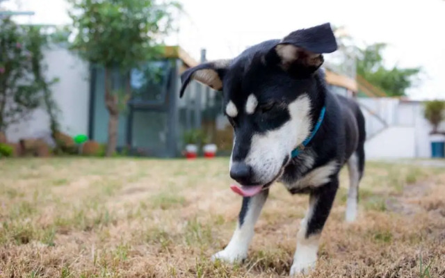 Yansu Sport Culture Homestay