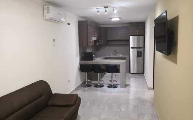 Departamentos Enki Centro