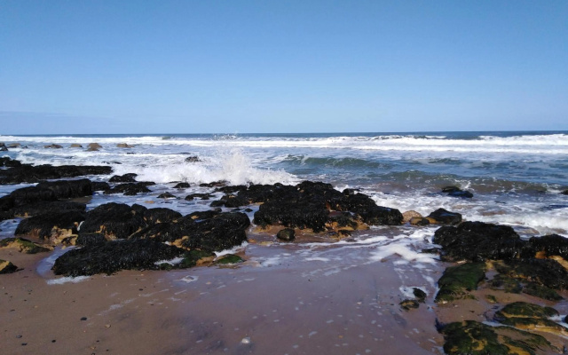 Deerness, 4star Gold Award 2024, Whitby